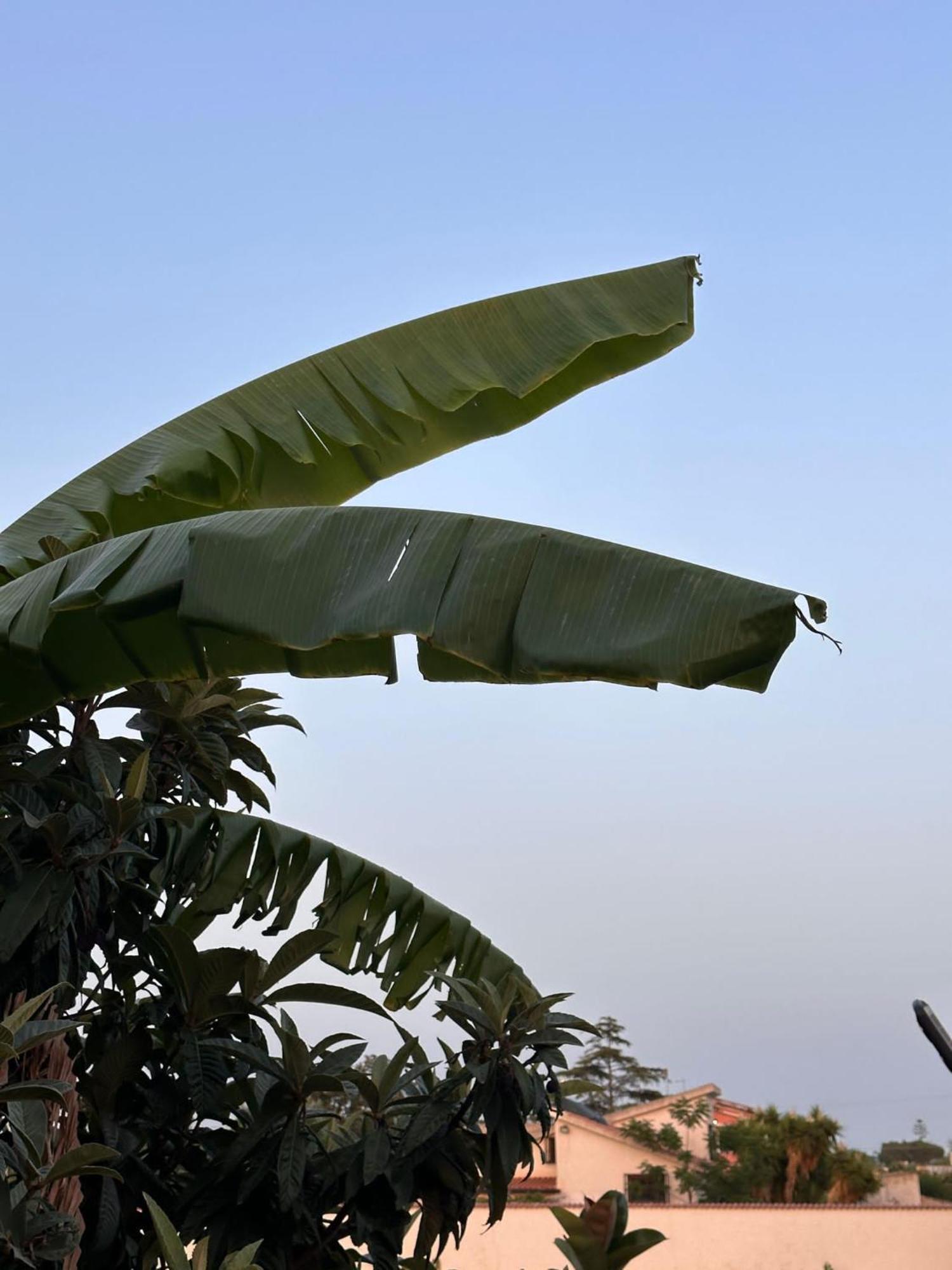 Casa Himera Homestay Fontane Bianche